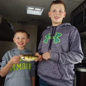 Meet your Posher, Mike